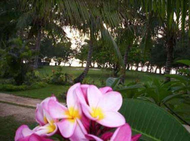 Otuhaka Beach Resort Kanokupolu Rom bilde